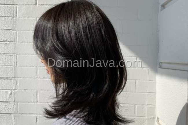 Medium Length Segi Layer