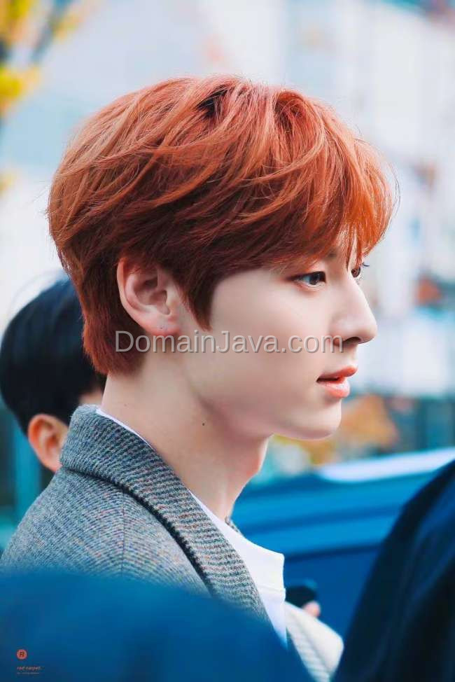 Warna Ginger Kemerahan